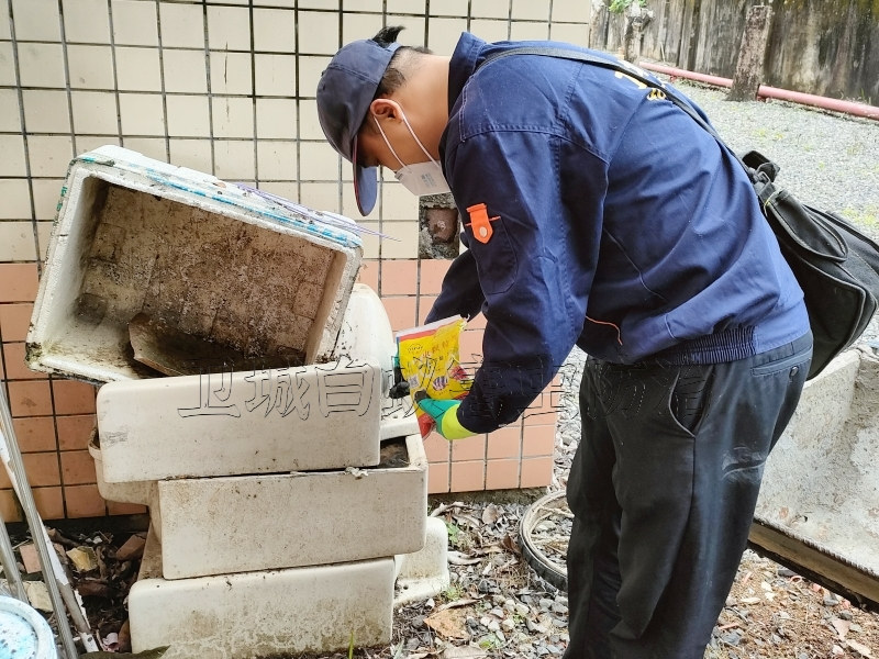 工厂宿舍大朗杀臭虫,常平杀虫公司,东莞黄江灭蟑螂蚊子螨虫