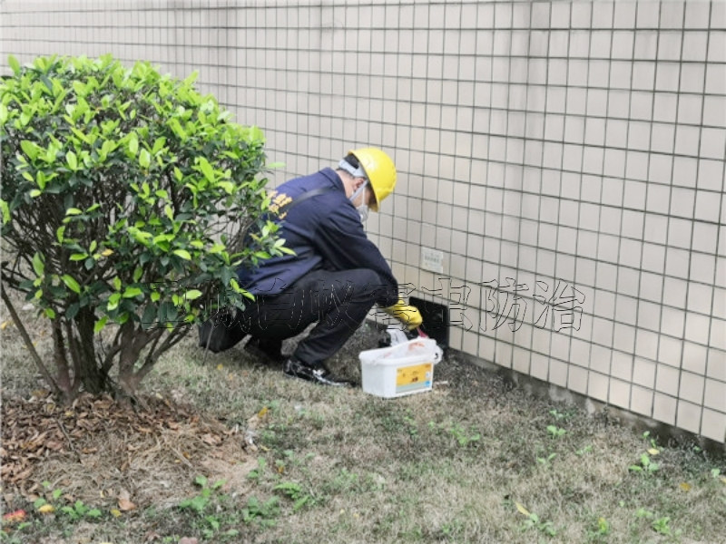 东莞清溪灭鼠公司,工厂塘厦灭鼠,凤岗除老鼠效率高