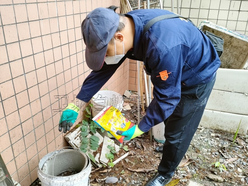 大朗灭鼠公司,东莞工厂谢岗灭鼠,正规资质认证桥头除老鼠