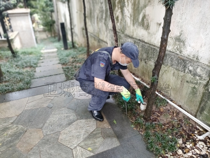 塘厦白蚁防治公司，凤岗灭白蚁，清溪防白蚁中心【一次灭绝，永绝后患】